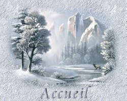 Accueil